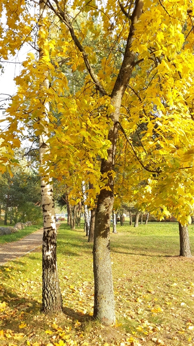 Фото жизнь
