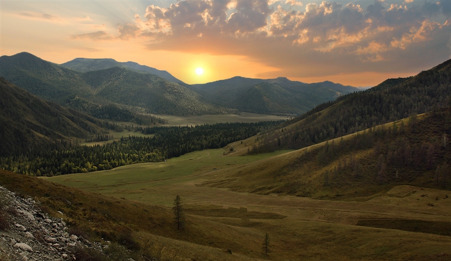 Фото жизнь