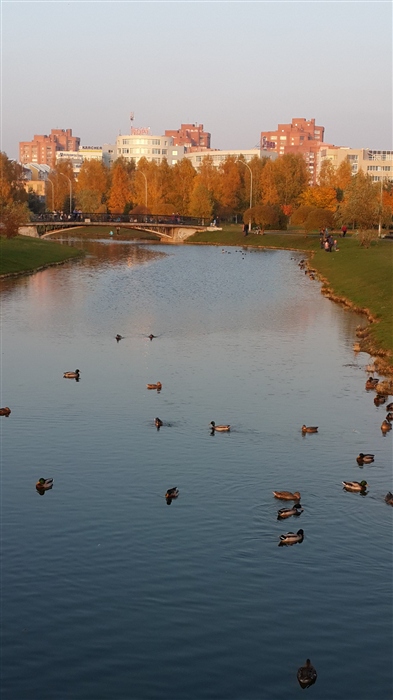 Фото жизнь