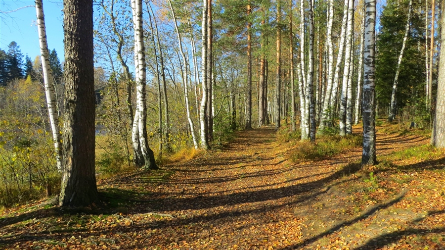 Фото жизнь