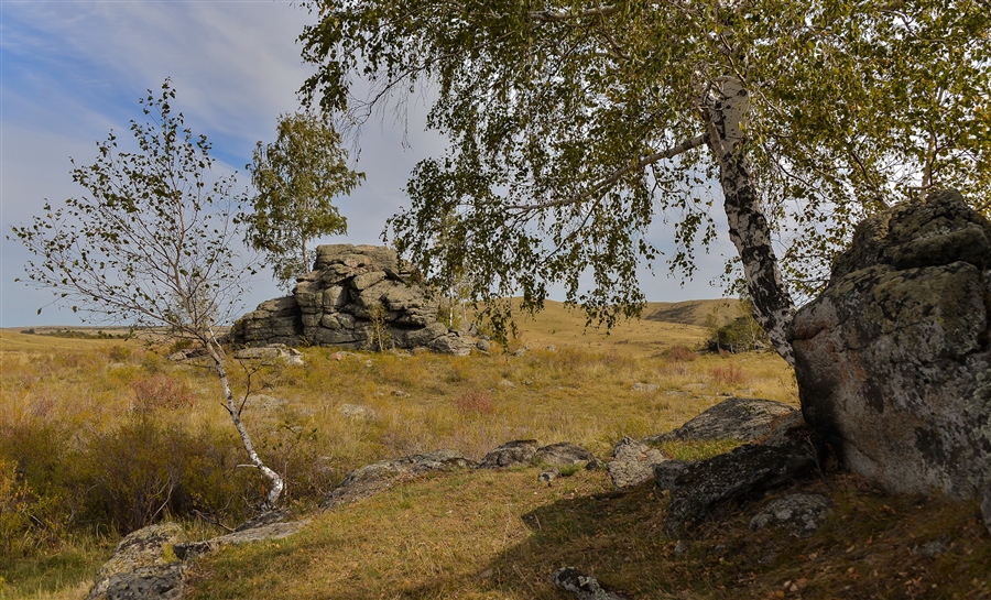 Фото жизнь