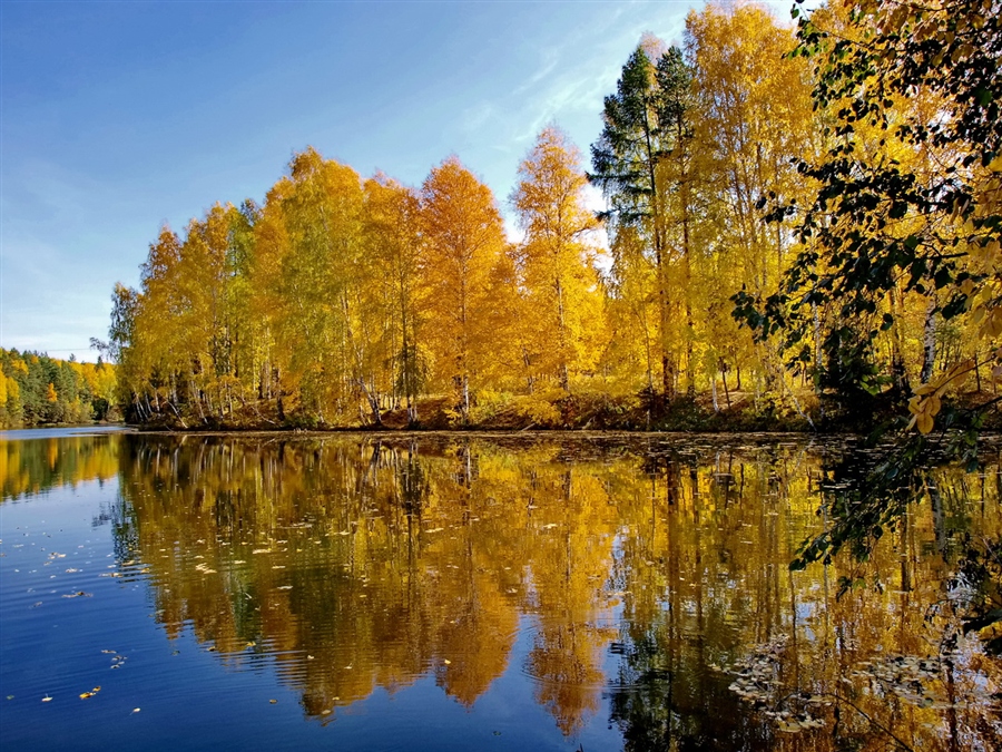 Фото жизнь