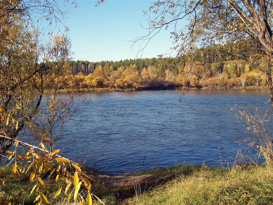 Фото жизнь