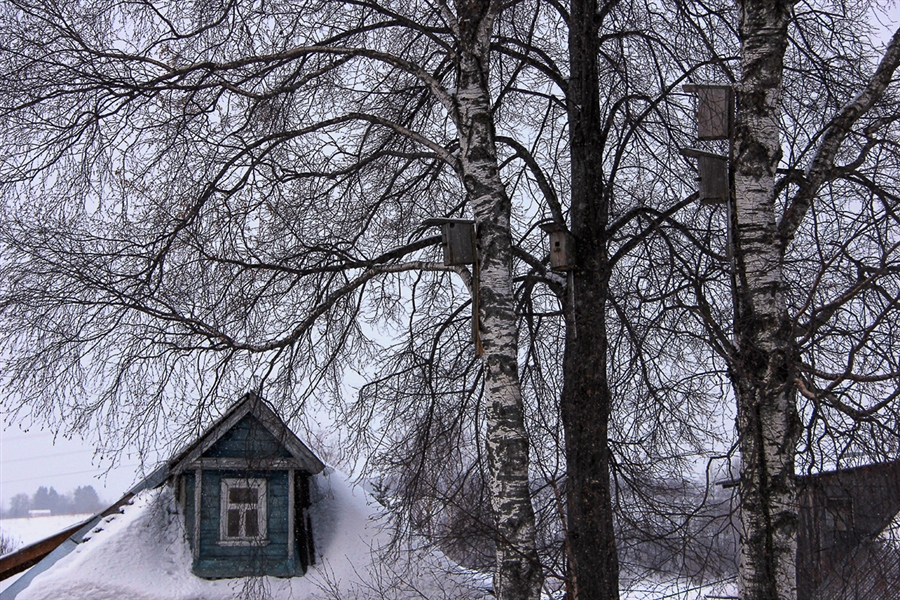 Фото жизнь