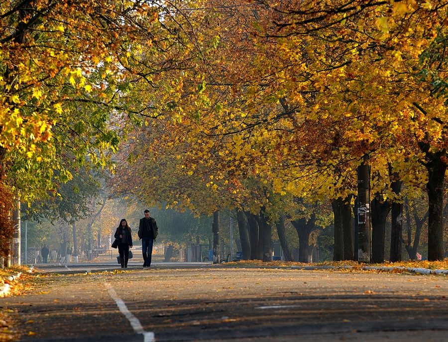 Фото жизнь