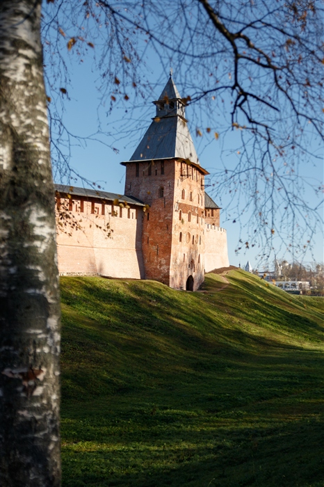 Фото жизнь