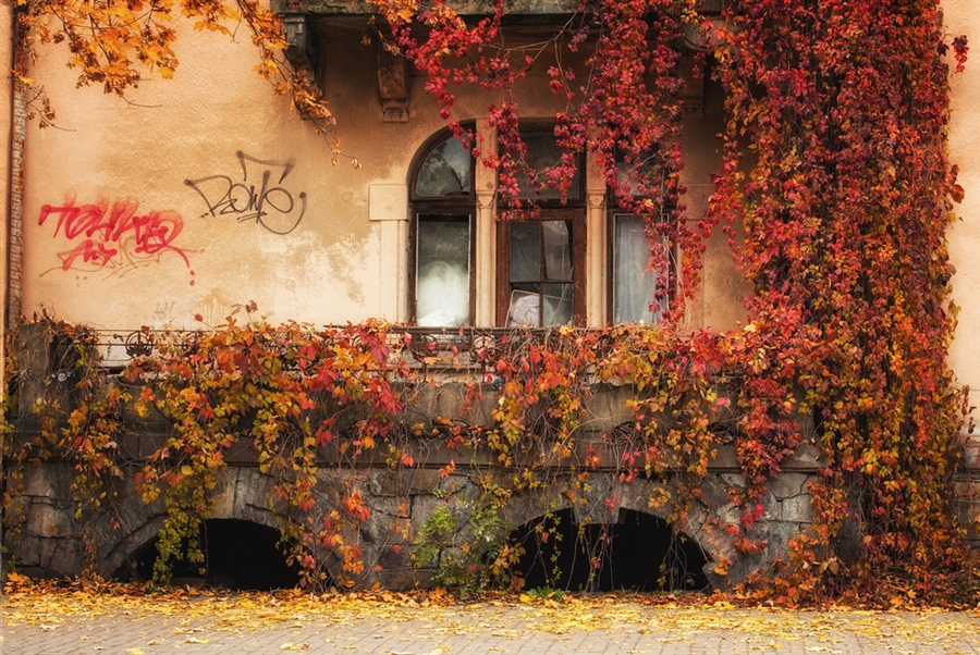 Фото жизнь
