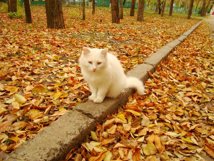 Фото жизнь
