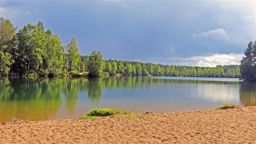 Фото жизнь