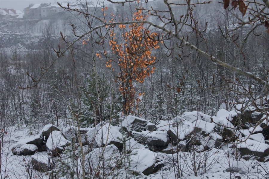Фото жизнь