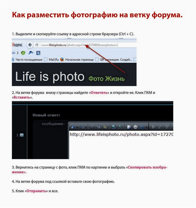 ... Фото жизнь