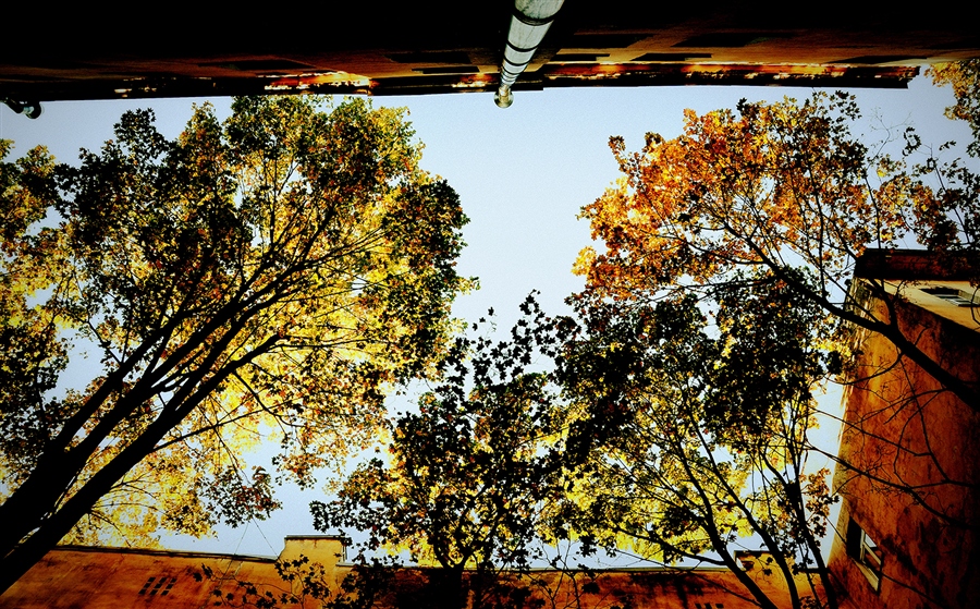 Фото жизнь