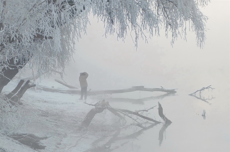 Фото жизнь