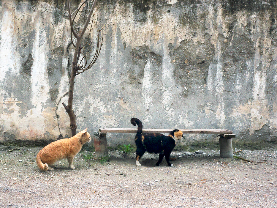 Фото жизнь - KaMo - корневой каталог - О любви