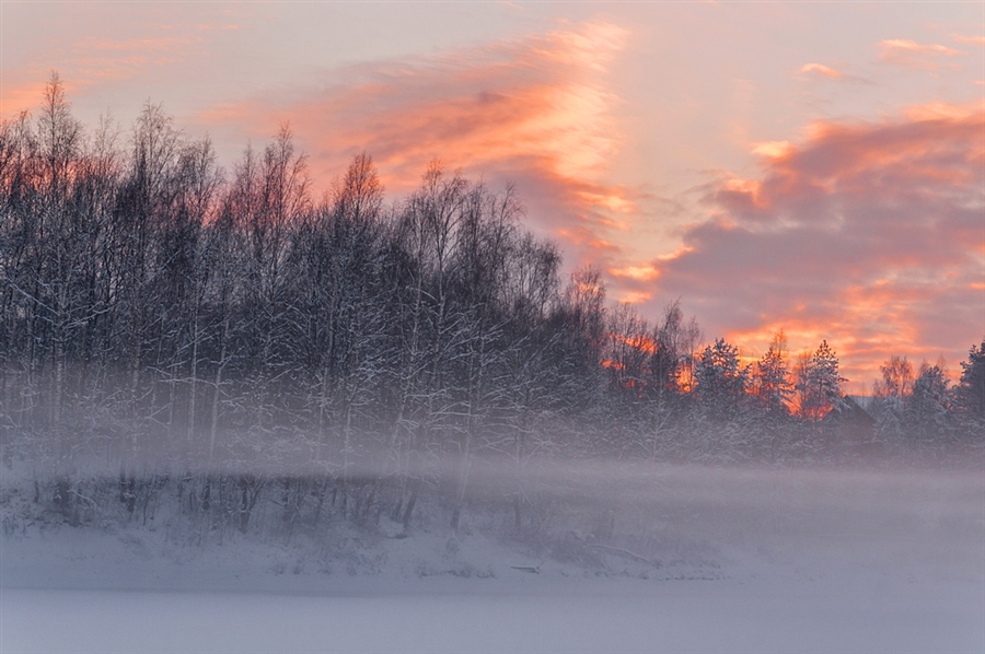 Фото жизнь