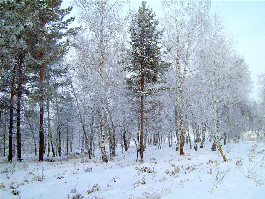 Фото жизнь