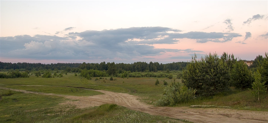 Фото жизнь