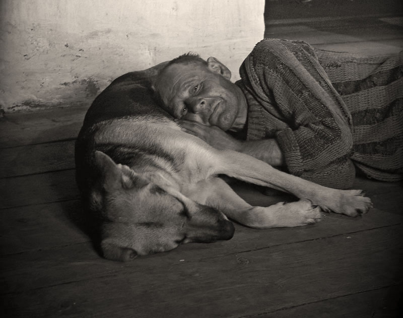 Фото жизнь (light) - hadson - корневой каталог - -------