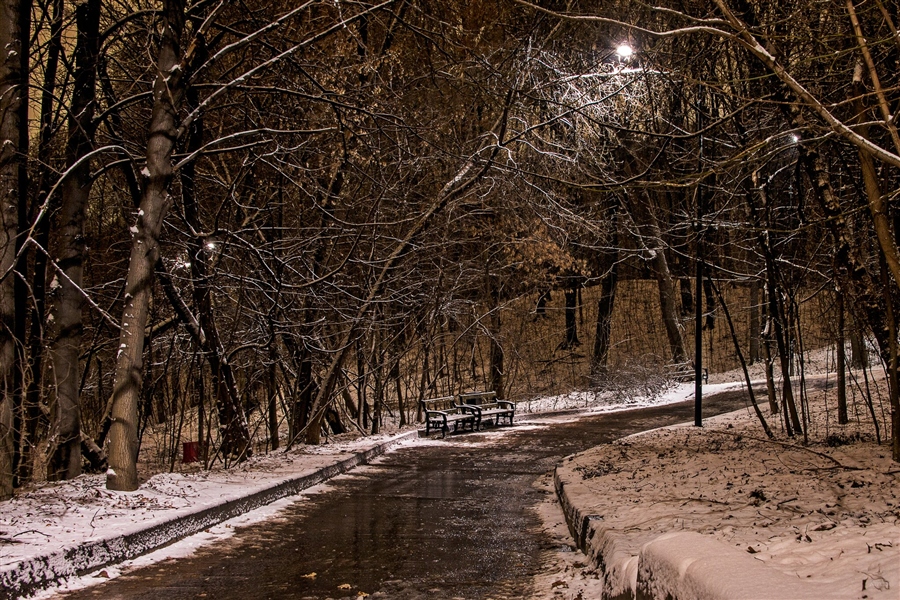 Фото жизнь