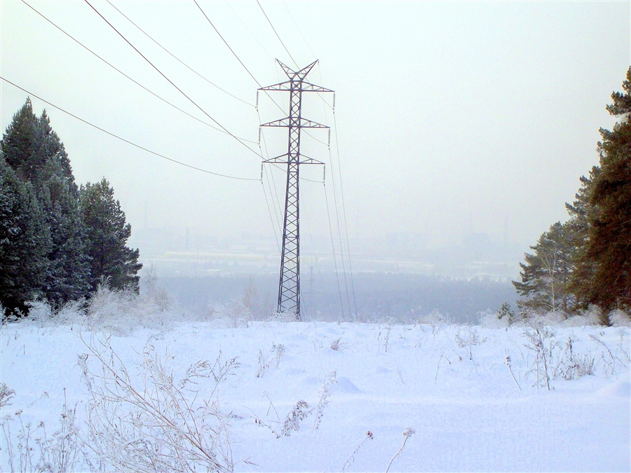Фото жизнь