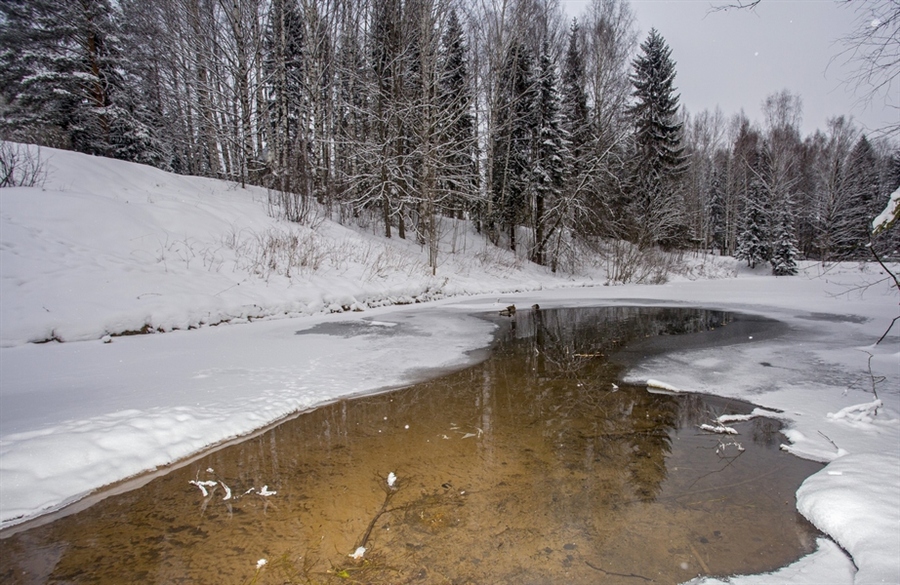 Фото жизнь