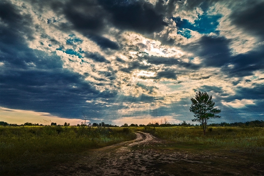 Фото жизнь
