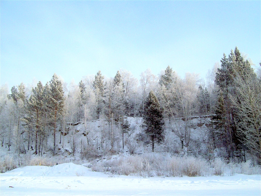 Фото жизнь