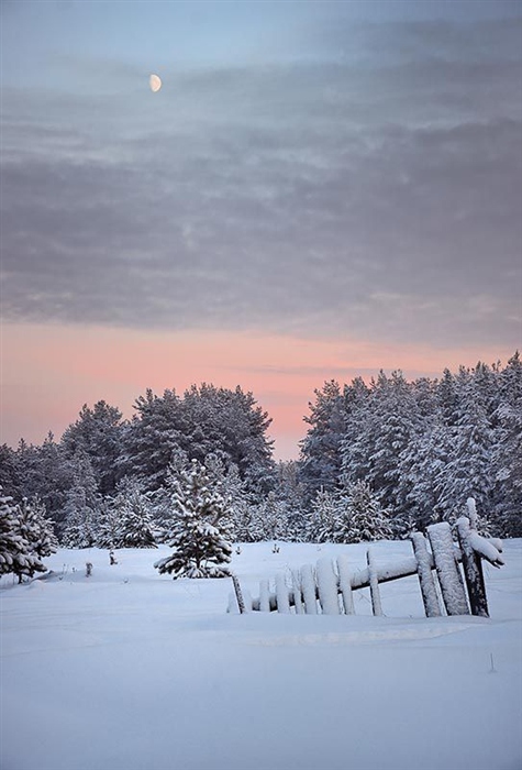 Frosty colors of winter