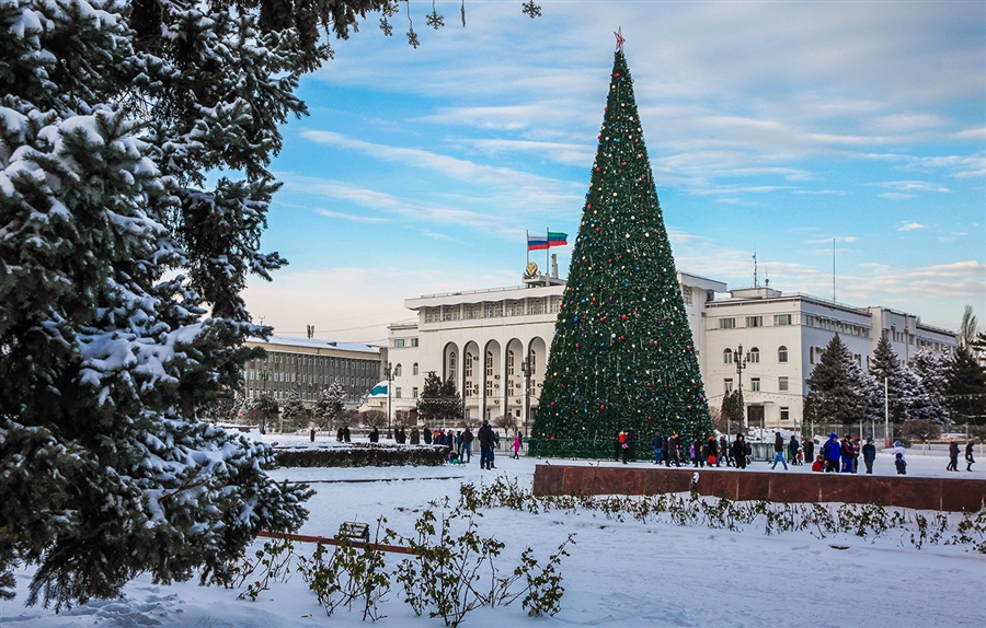 Фото жизнь