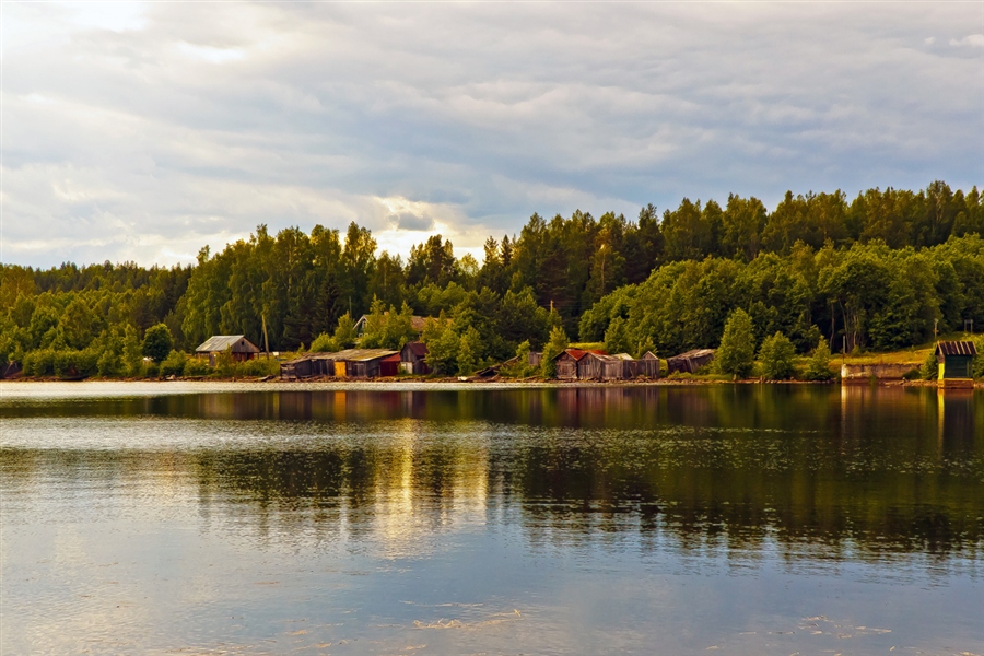Фото жизнь