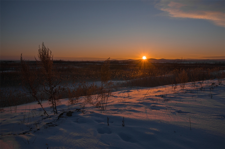 Фото жизнь