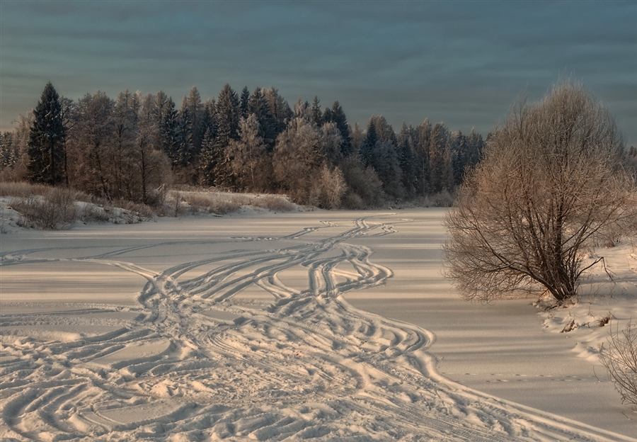 Фото жизнь