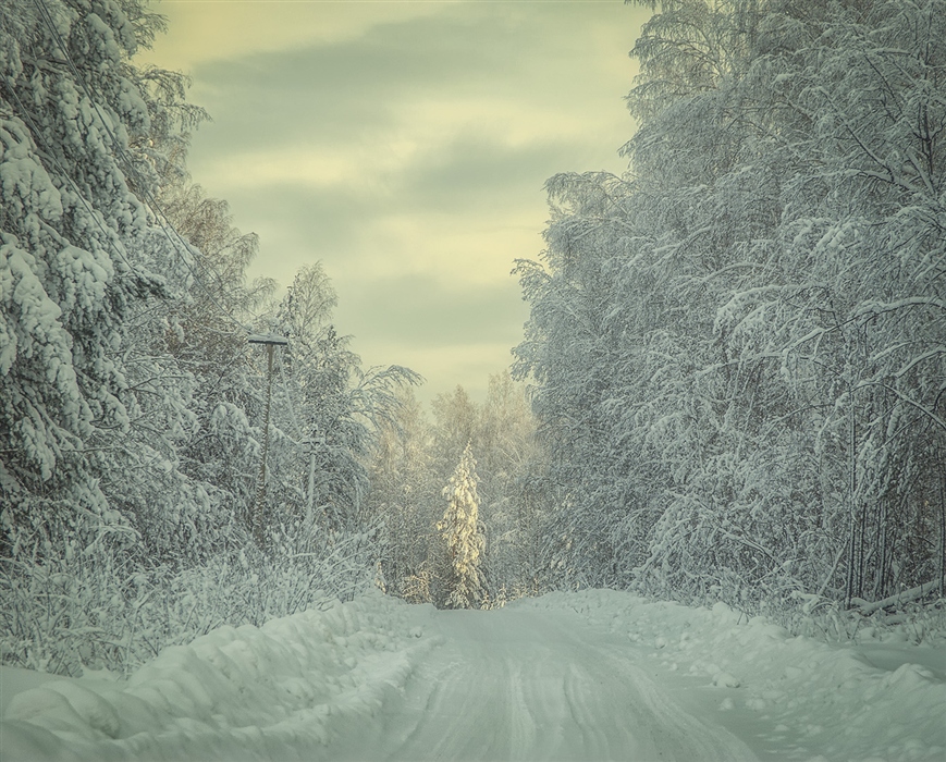 Фото жизнь