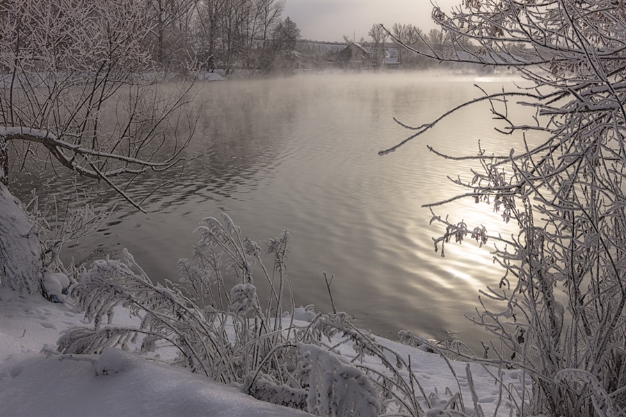 Утро перламутрового света... Фото жизнь