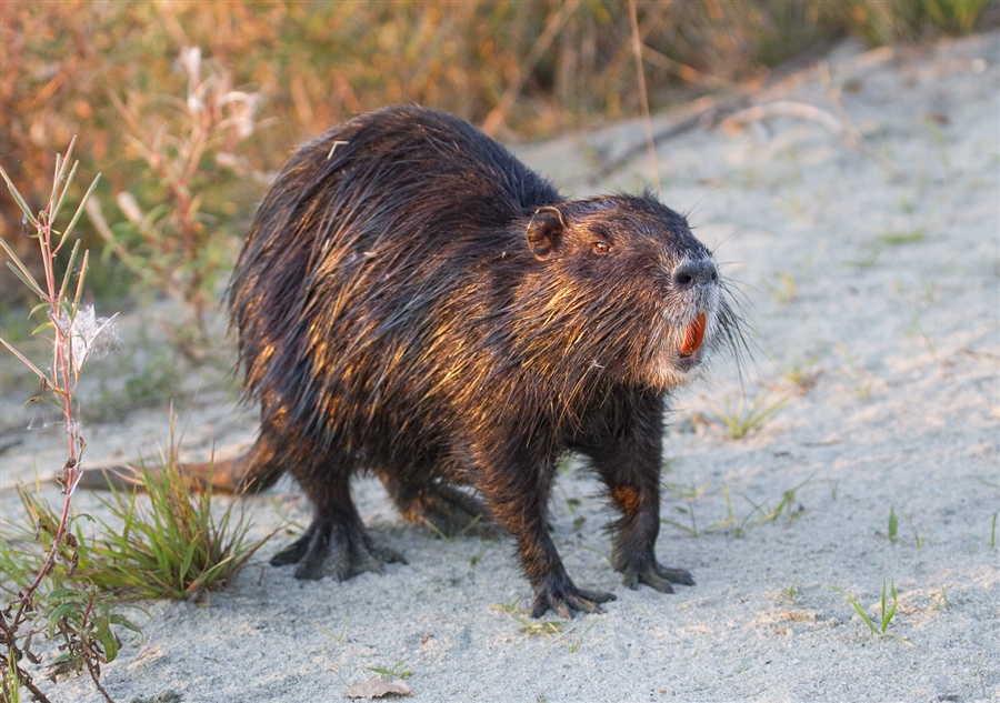 Что-то не нравится мне этот фотограф...