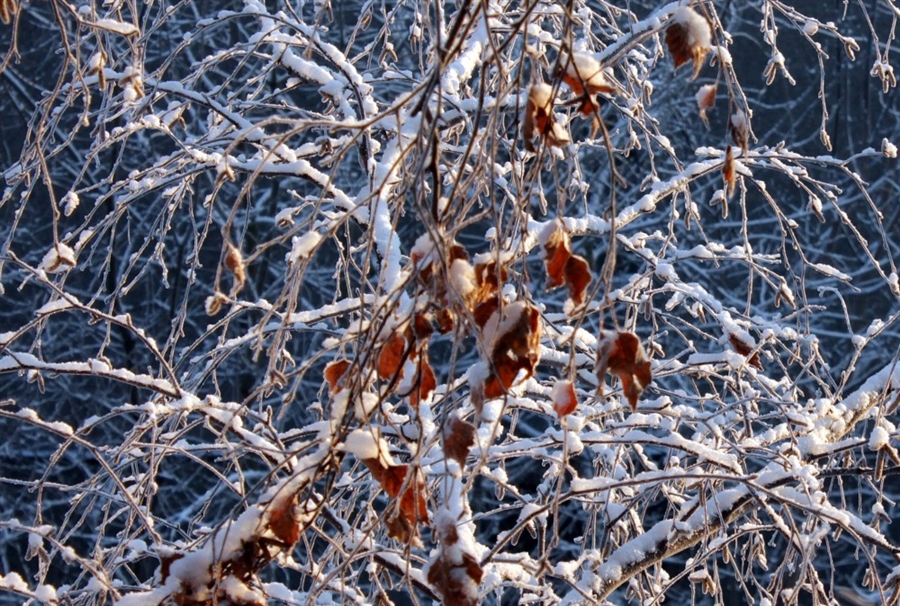 Фото жизнь