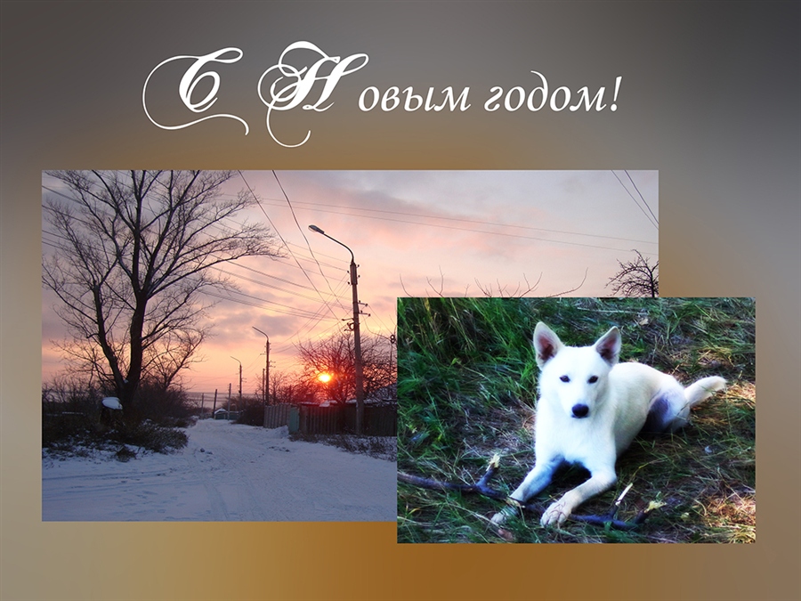 Фото жизнь