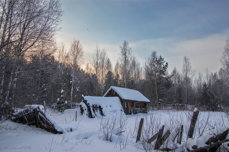 Фото жизнь