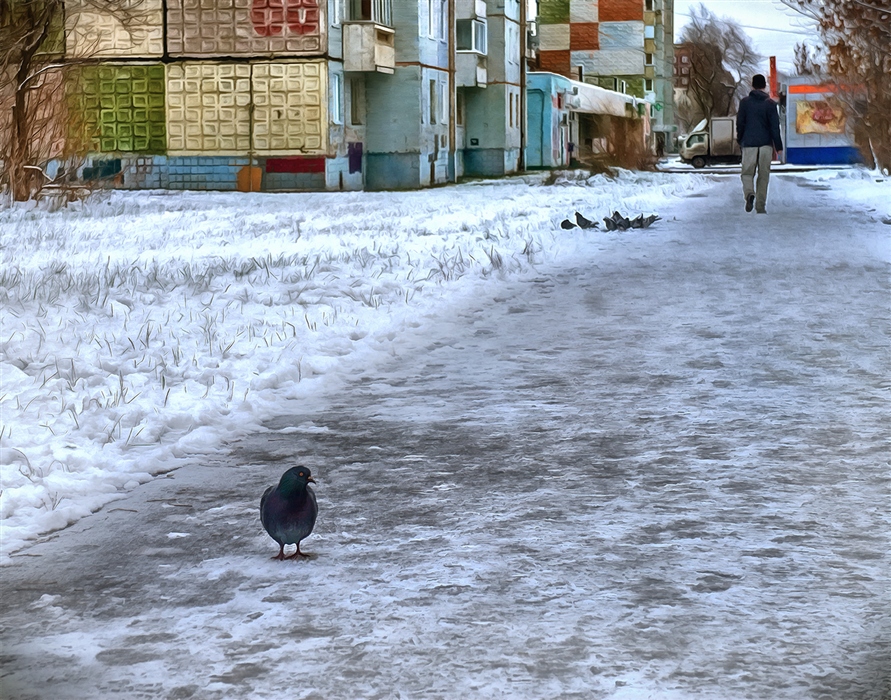 Фото жизнь