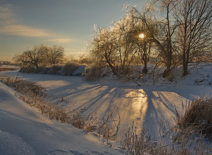 Фото жизнь