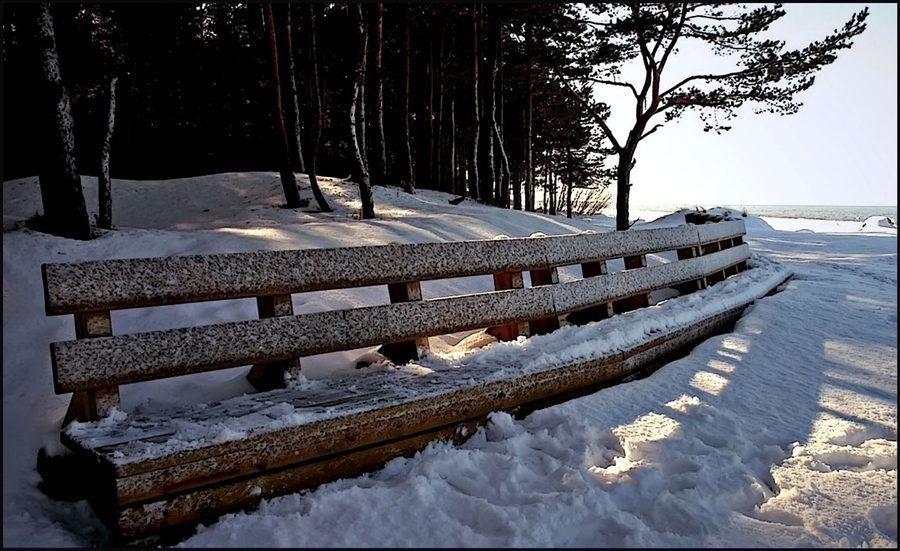 Фото жизнь