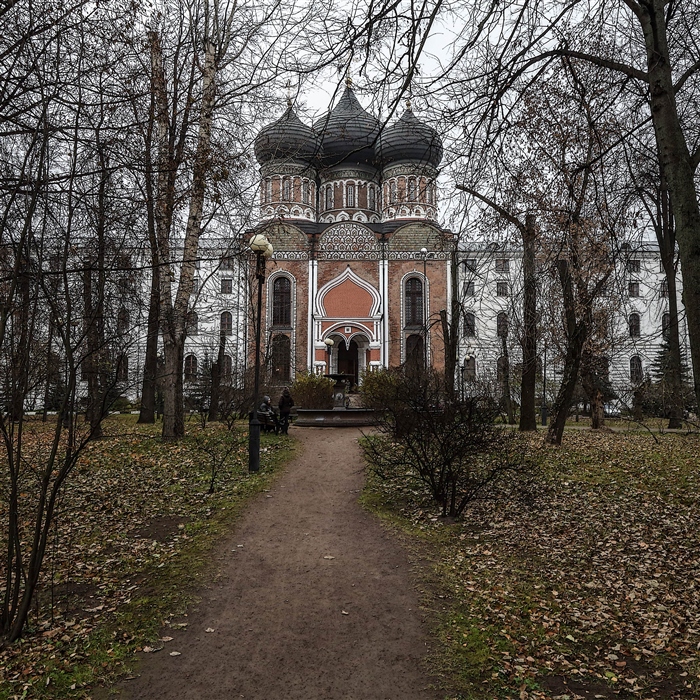 Фото жизнь