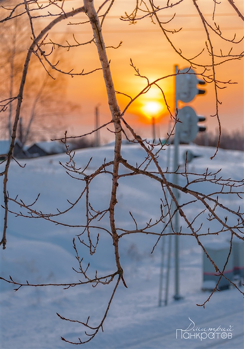 Фото жизнь