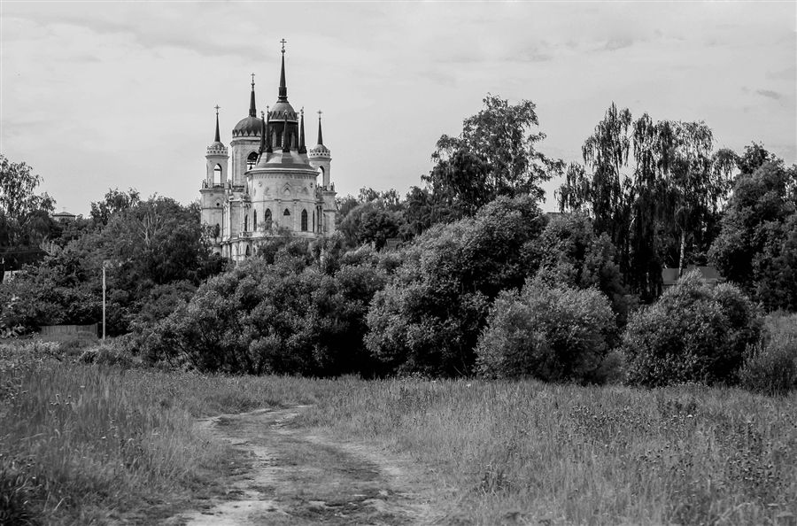 Фото жизнь