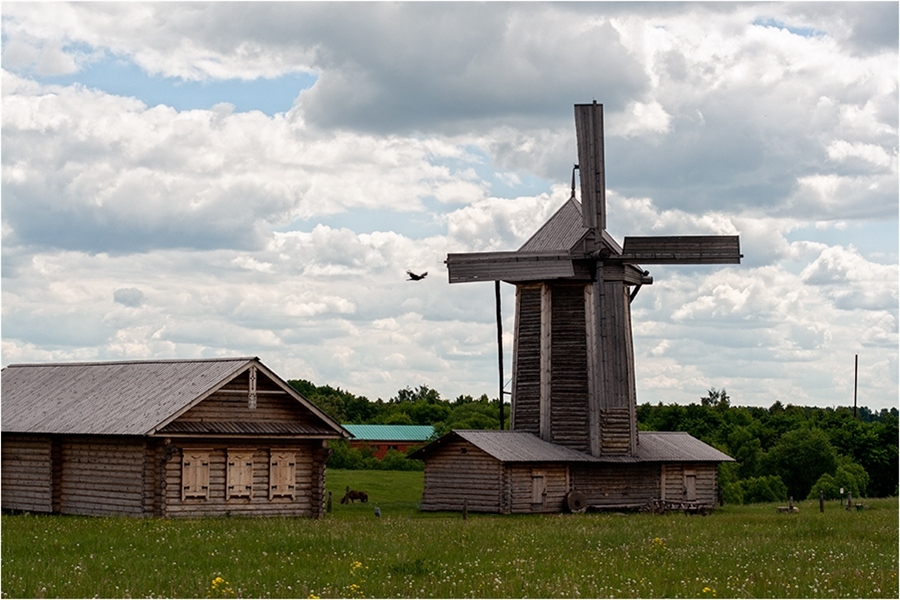 Фото жизнь
