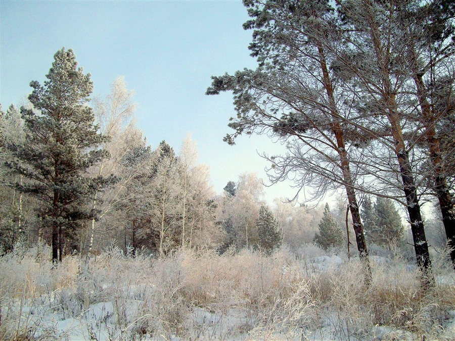 Фото жизнь
