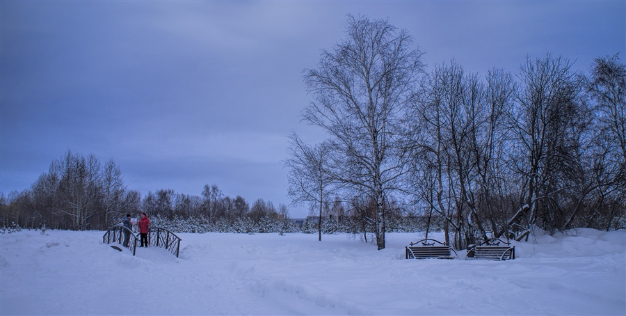 Фото жизнь