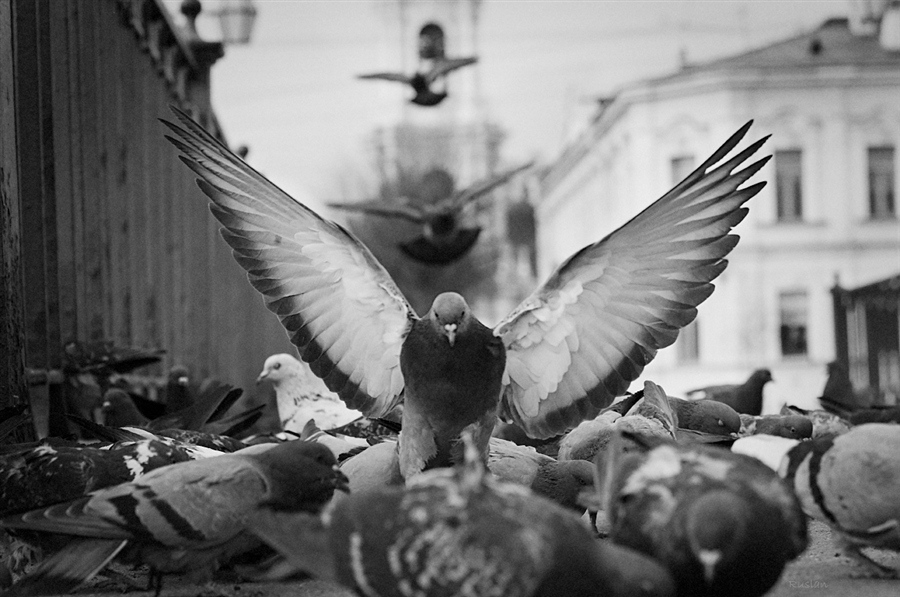 Фото жизнь