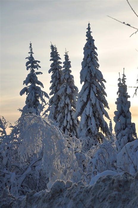 Фото жизнь
