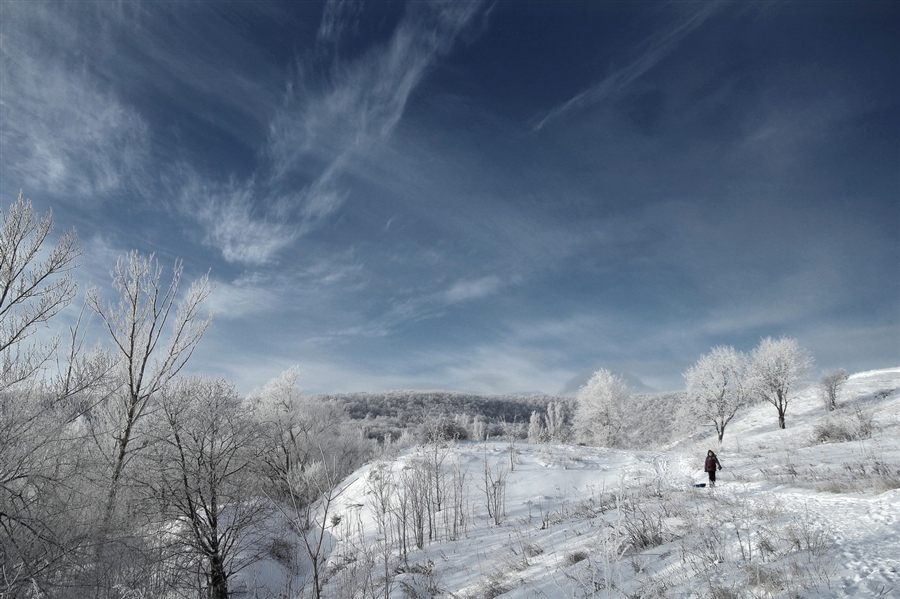 Фото жизнь